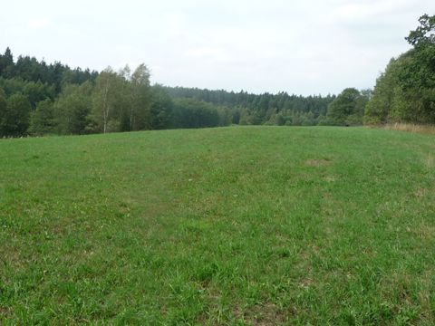 Foto 23